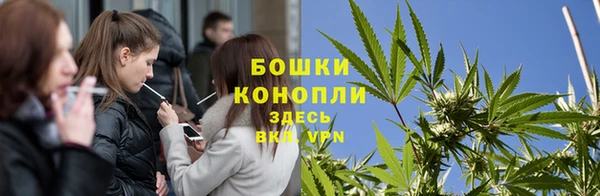 Альфа ПВП Новокубанск