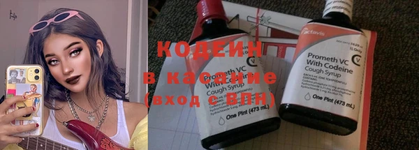 сатива Новодвинск