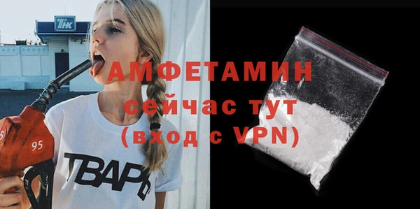 сатива Новодвинск