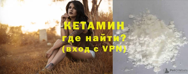 сатива Новодвинск