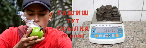 сатива Новодвинск