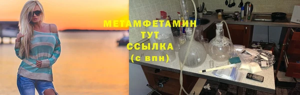 сатива Новодвинск