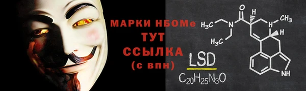 сатива Новодвинск