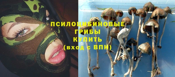 Альфа ПВП Новокубанск