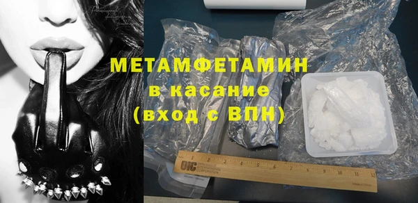сатива Новодвинск