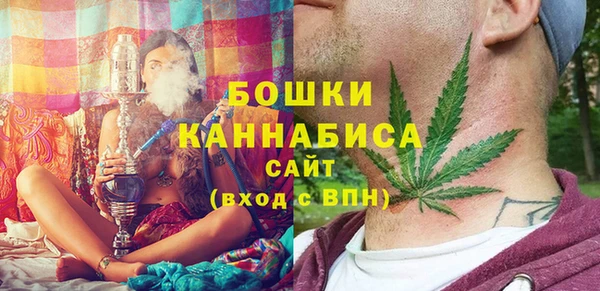 сатива Новодвинск