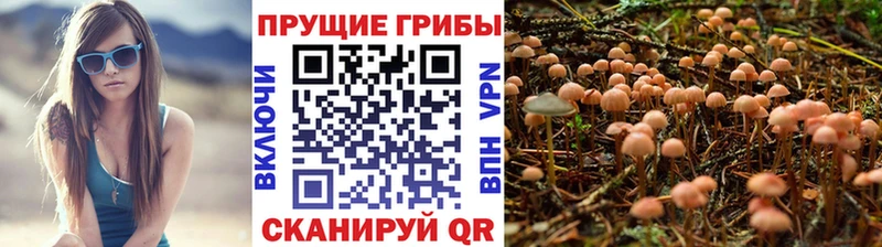 Галлюциногенные грибы мицелий  Углегорск 